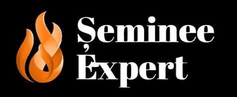 https://www.seminee-expert.ro/